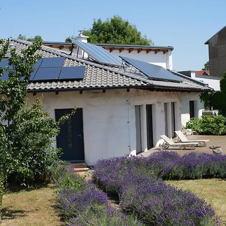 Апартаменты Strohlehm'Zhaus Вайден-ам-Зе Экстерьер фото